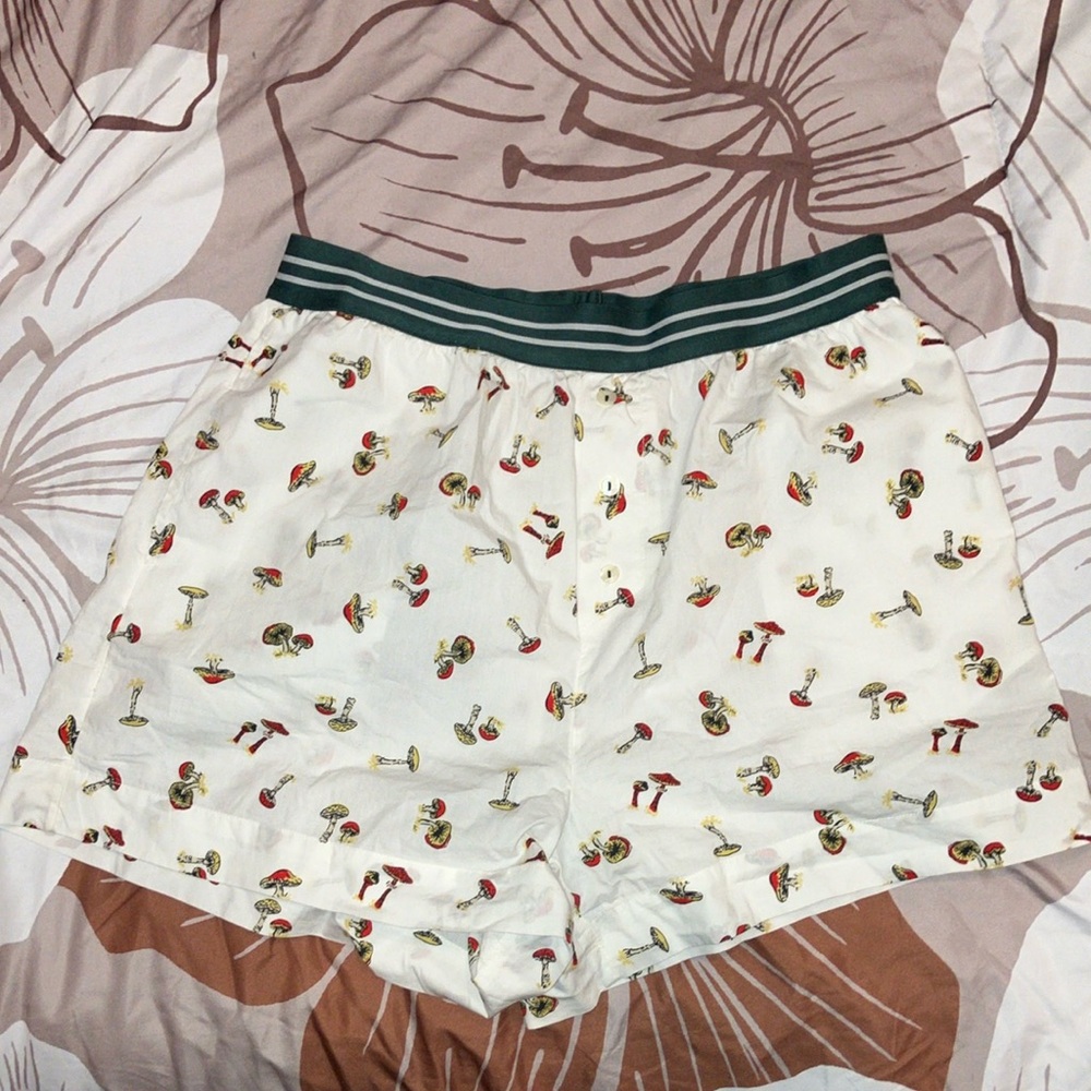 Anthropologie boxer Shorts